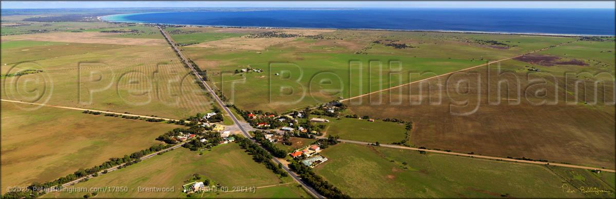 Peter Bellingham Photography Brentwood - SA (PBH3 00 28511)